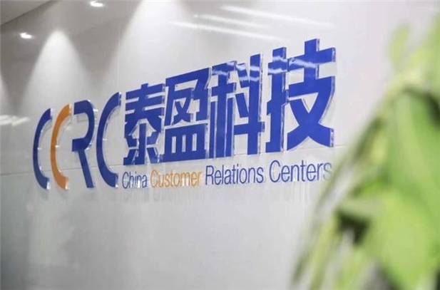 数字中后台革命者:泰盈科技的七年之旅,如何成为行业领军者